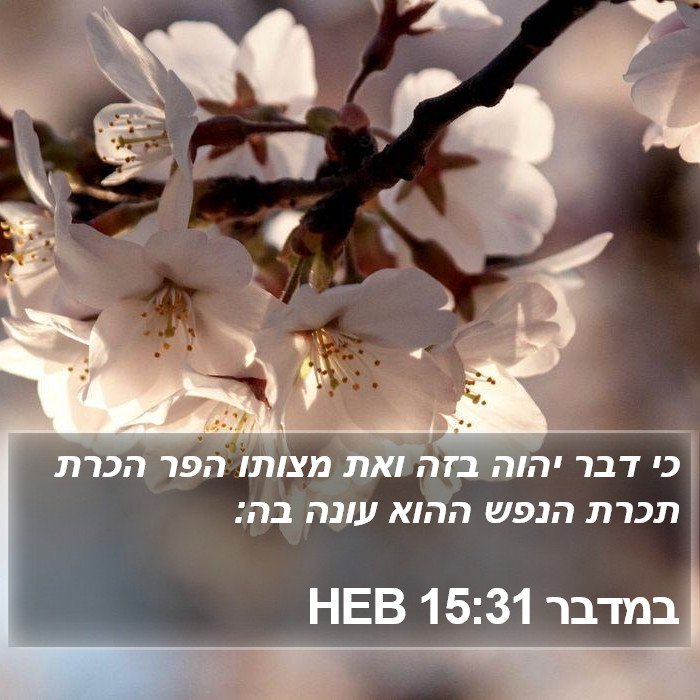 במדבר 15:31 HEB Bible Study