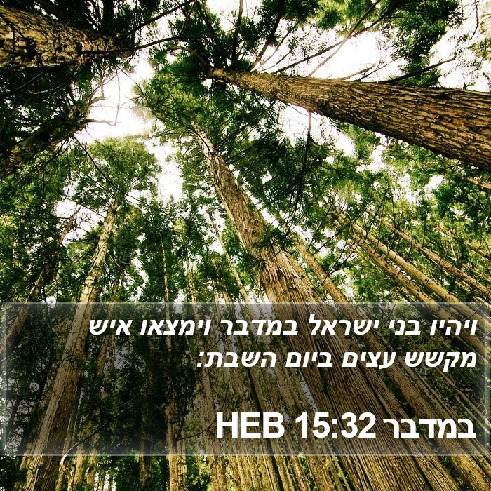 במדבר 15:32 HEB Bible Study