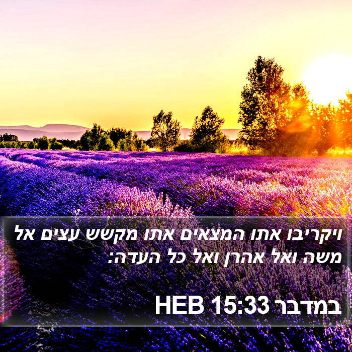 במדבר 15:33 HEB Bible Study