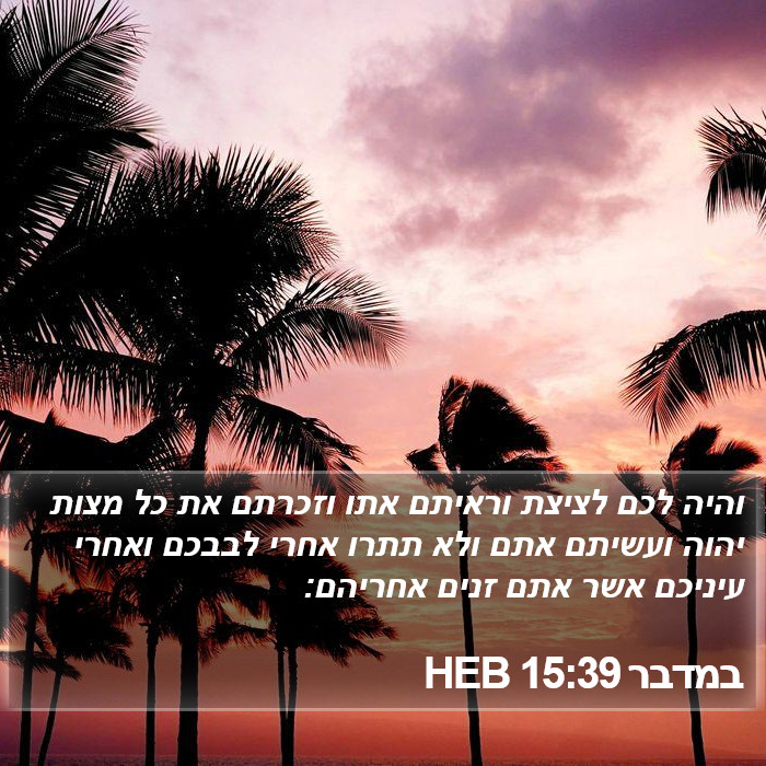 במדבר 15:39 HEB Bible Study