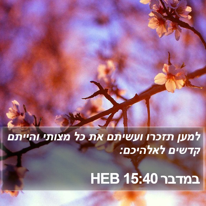 במדבר 15:40 HEB Bible Study