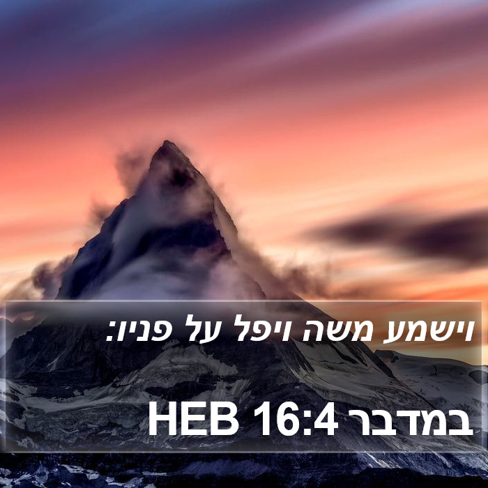 במדבר 16:4 HEB Bible Study