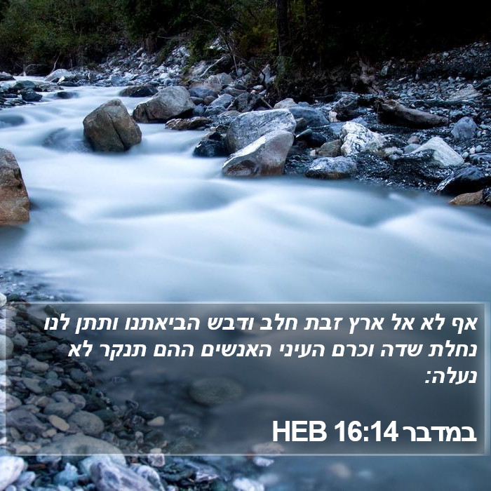 במדבר 16:14 HEB Bible Study