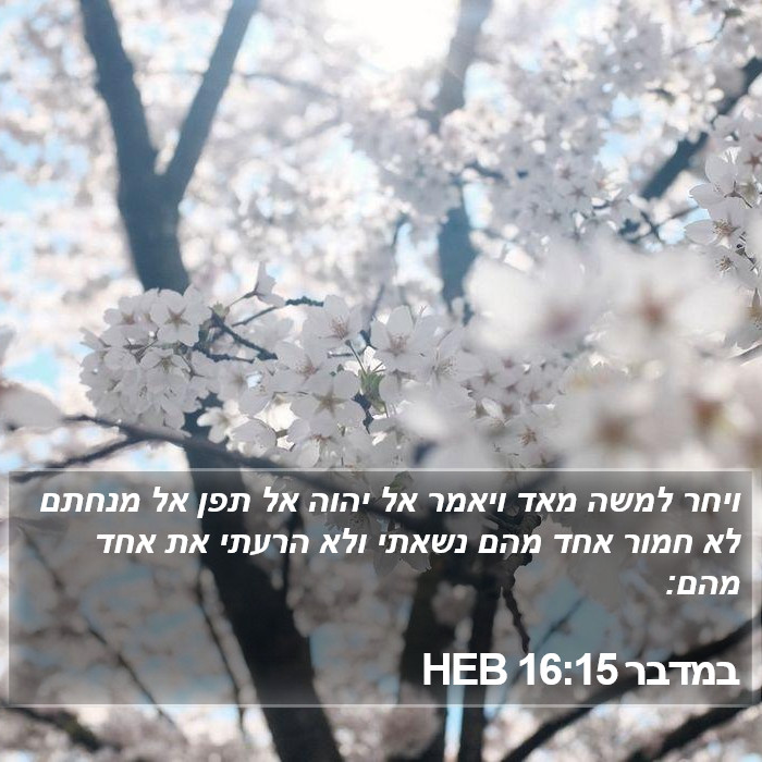 במדבר 16:15 HEB Bible Study