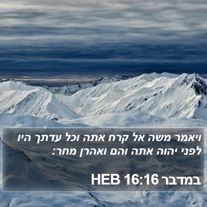 במדבר 16:16 HEB Bible Study