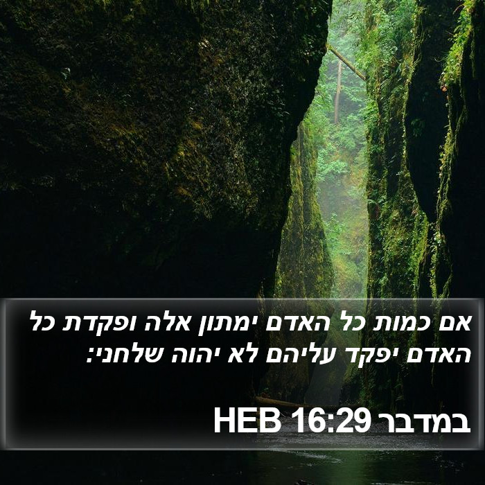 במדבר 16:29 HEB Bible Study