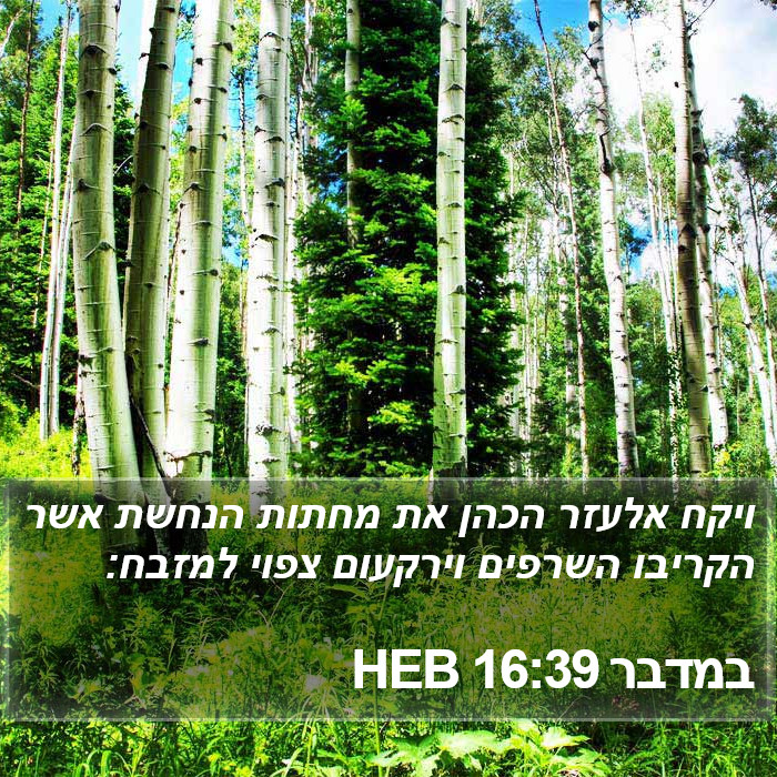 במדבר 16:39 HEB Bible Study