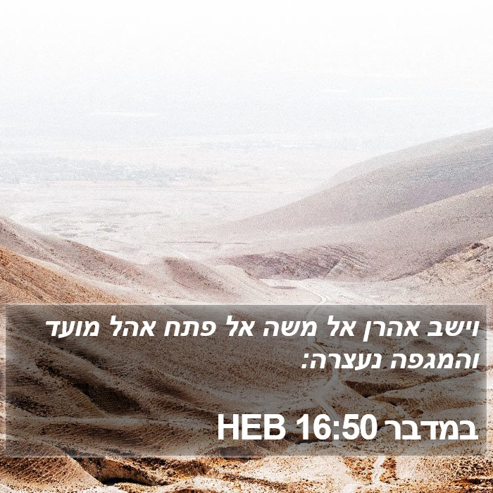 במדבר 16:50 HEB Bible Study