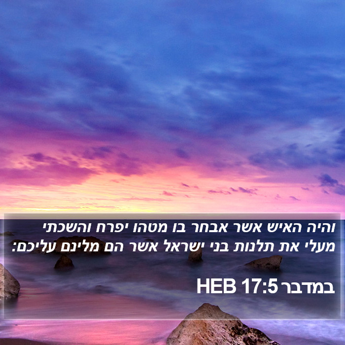 במדבר 17:5 HEB Bible Study