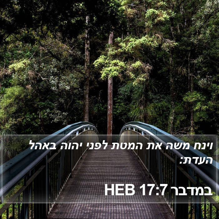 במדבר 17:7 HEB Bible Study