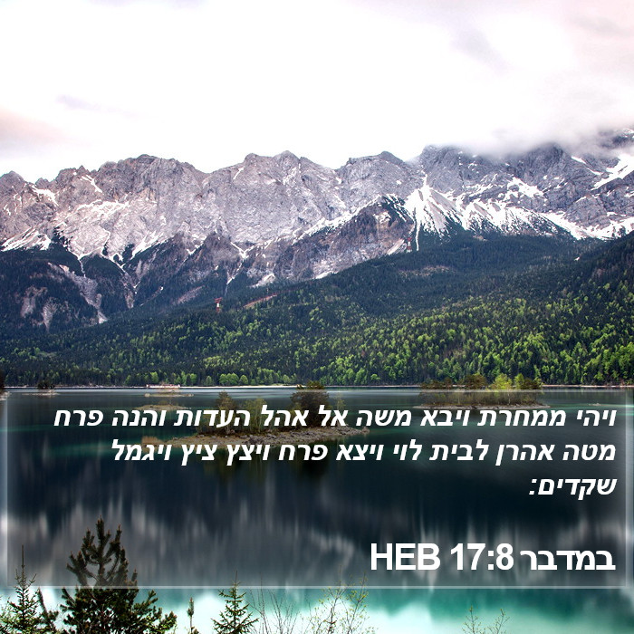 במדבר 17:8 HEB Bible Study