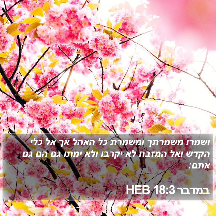 במדבר 18:3 HEB Bible Study