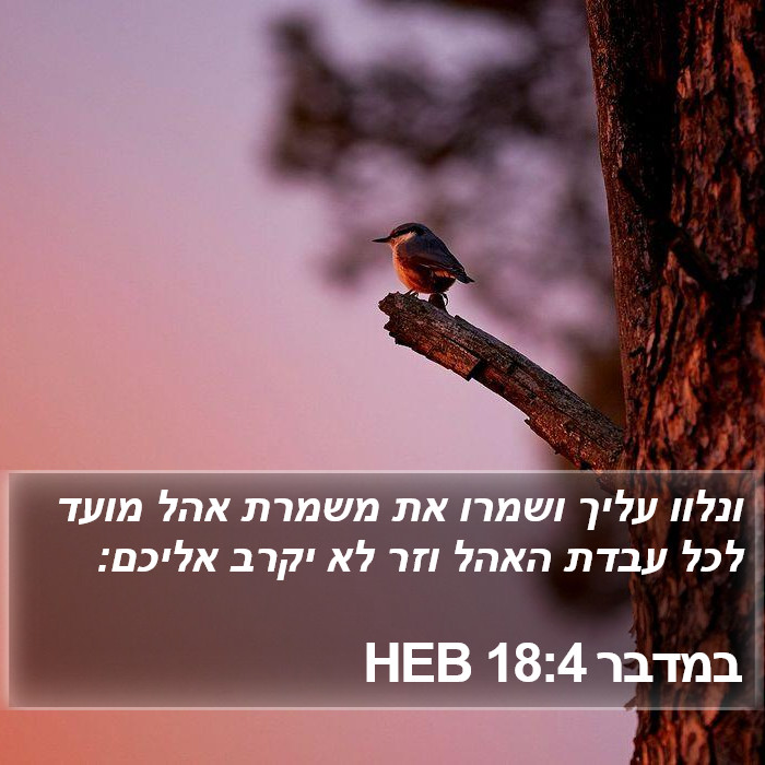 במדבר 18:4 HEB Bible Study