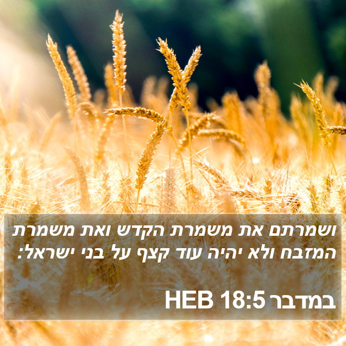 במדבר 18:5 HEB Bible Study