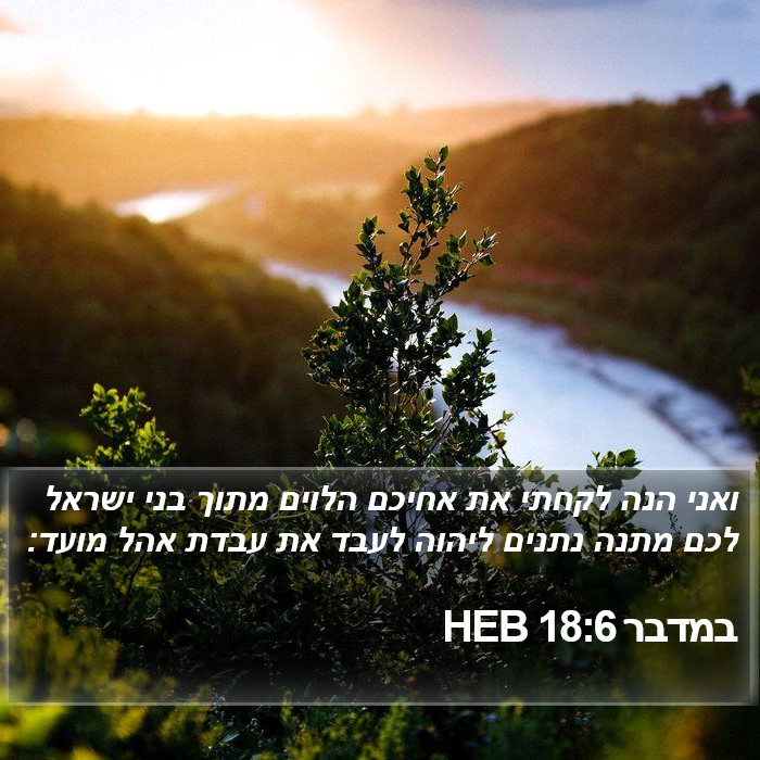 במדבר 18:6 HEB Bible Study