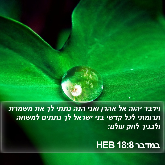 במדבר 18:8 HEB Bible Study