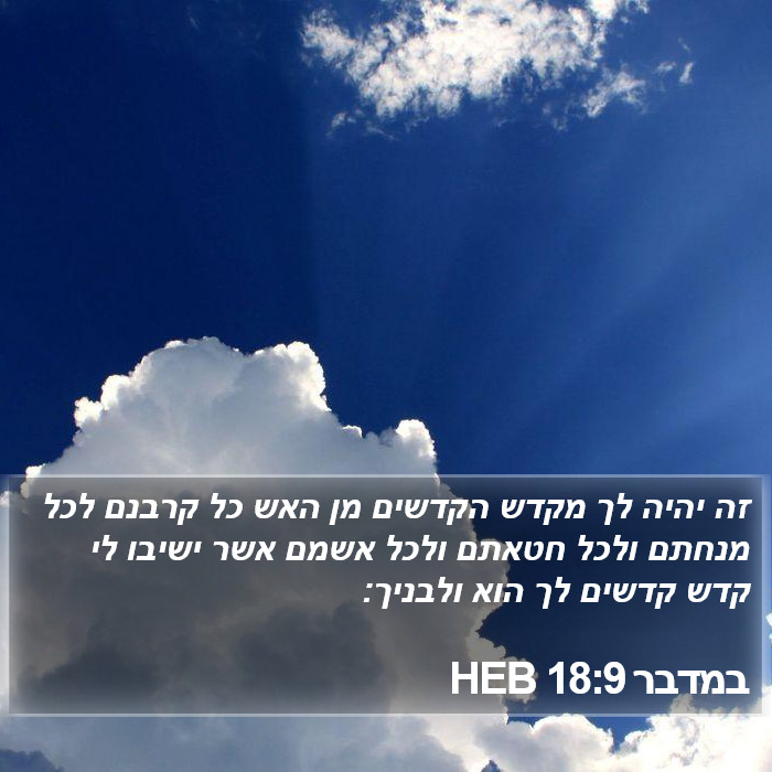 במדבר 18:9 HEB Bible Study