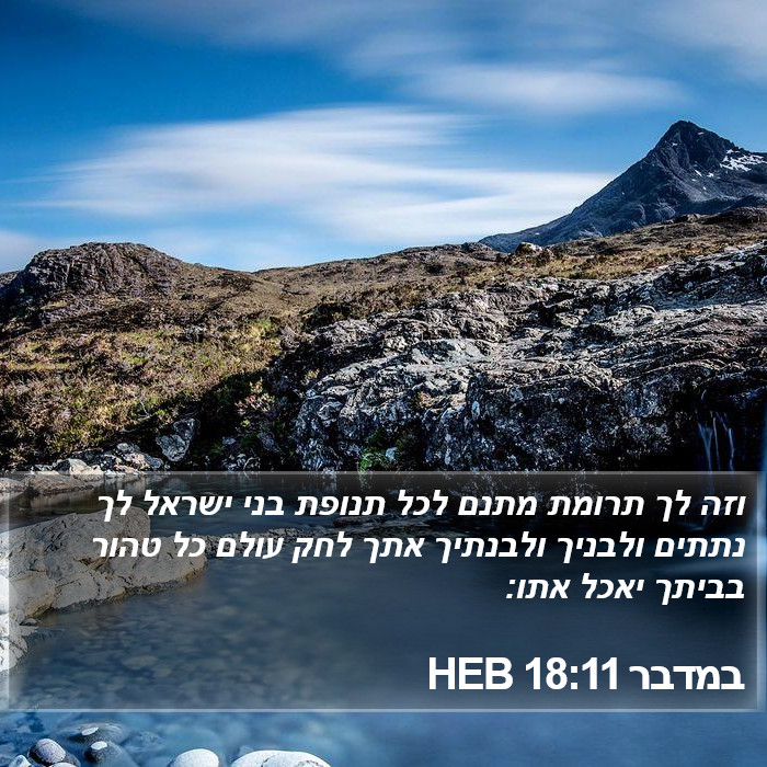 במדבר 18:11 HEB Bible Study