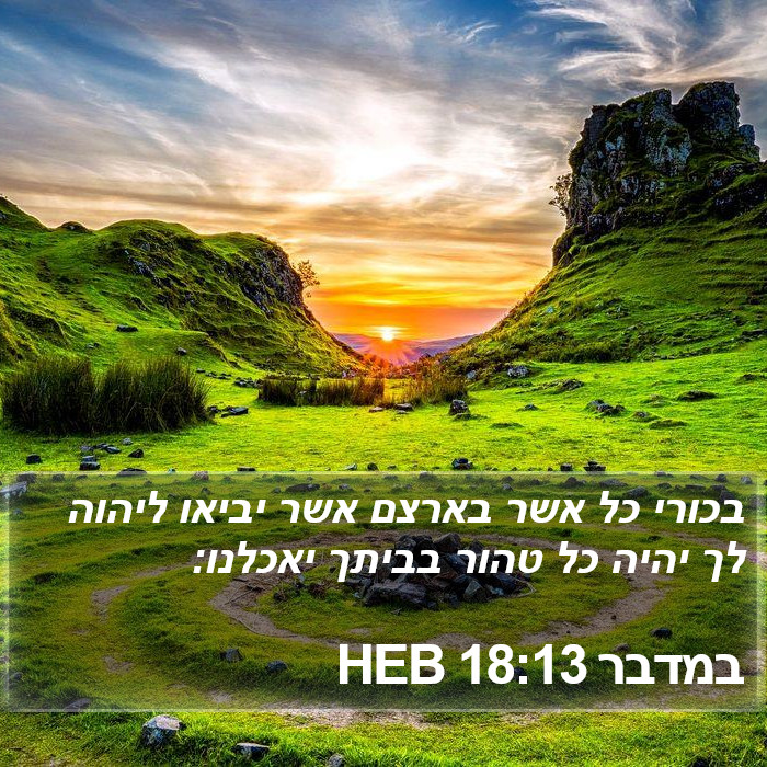 במדבר 18:13 HEB Bible Study