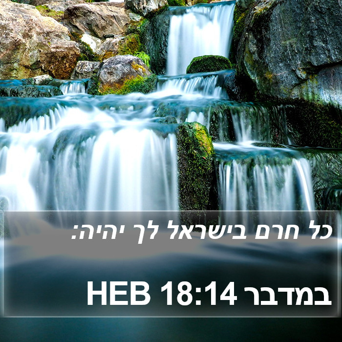 במדבר 18:14 HEB Bible Study