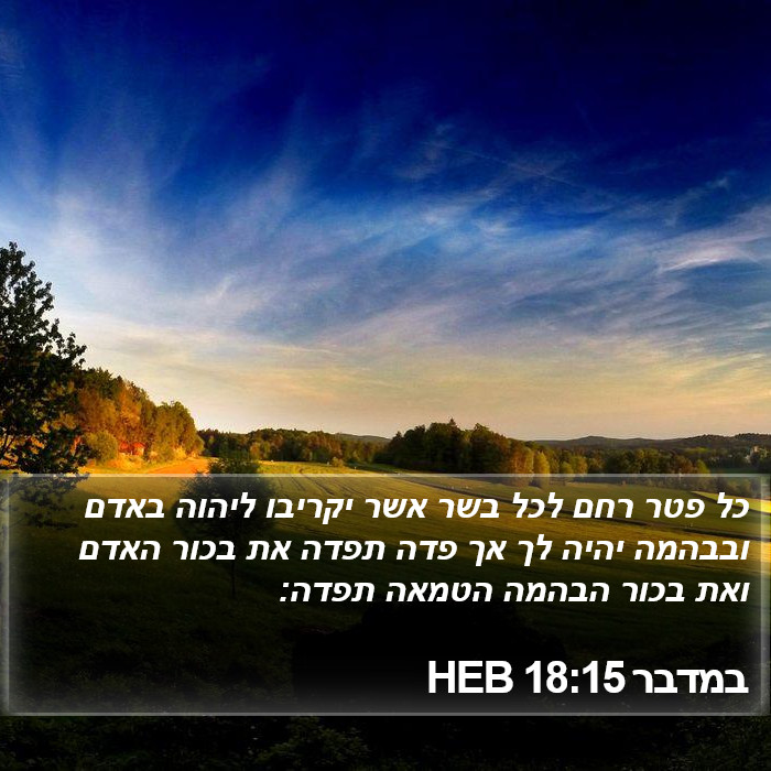 במדבר 18:15 HEB Bible Study