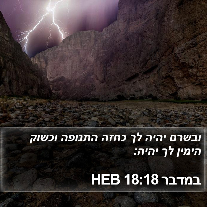 במדבר 18:18 HEB Bible Study