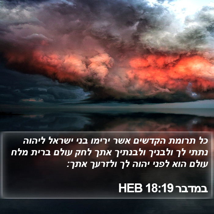 במדבר 18:19 HEB Bible Study