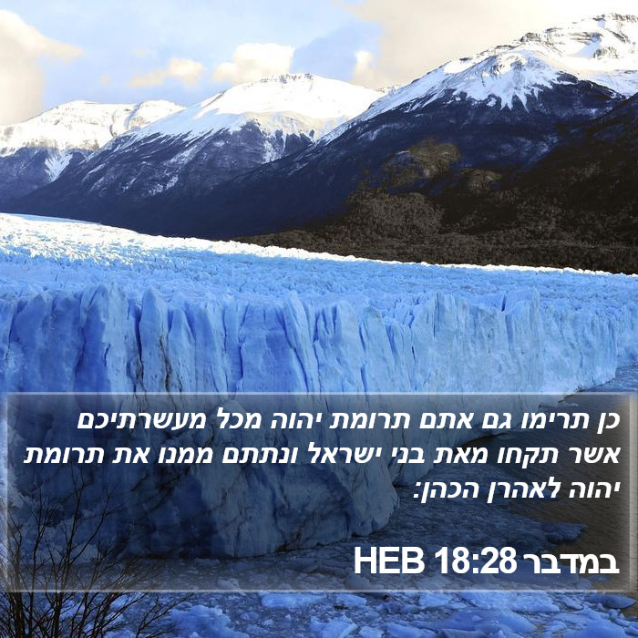 במדבר 18:28 HEB Bible Study