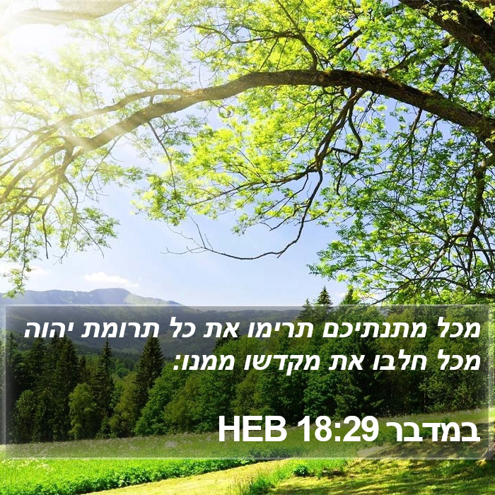 במדבר 18:29 HEB Bible Study