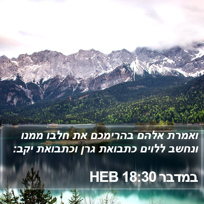 במדבר 18:30 HEB Bible Study