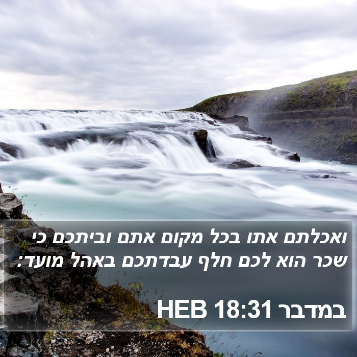 במדבר 18:31 HEB Bible Study