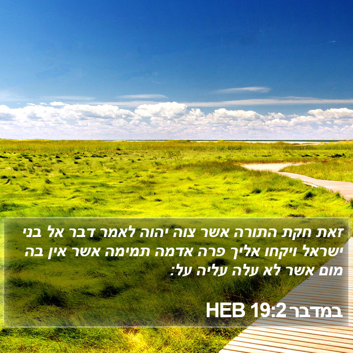 במדבר 19:2 HEB Bible Study