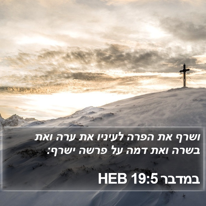 במדבר 19:5 HEB Bible Study