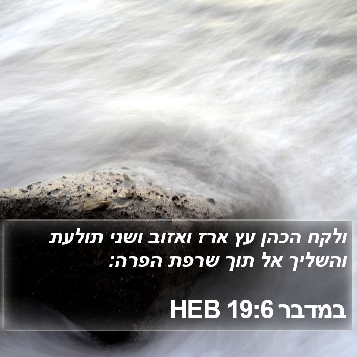 במדבר 19:6 HEB Bible Study