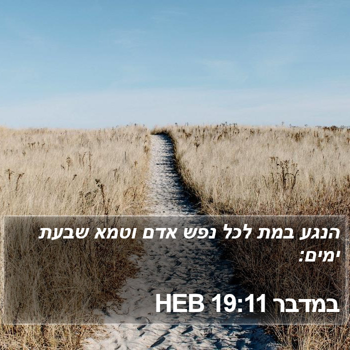 במדבר 19:11 HEB Bible Study