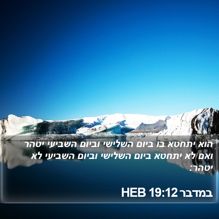 במדבר 19:12 HEB Bible Study