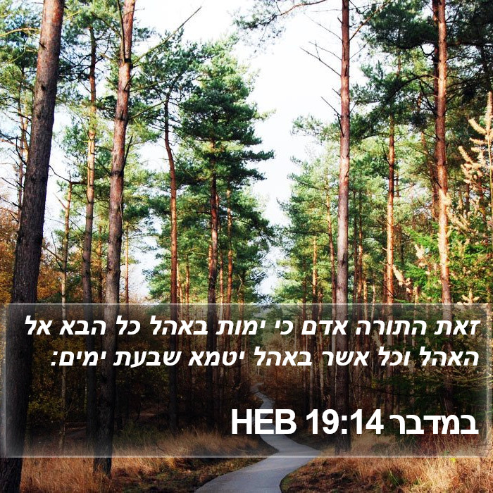 במדבר 19:14 HEB Bible Study