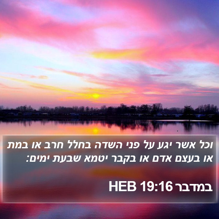 במדבר 19:16 HEB Bible Study