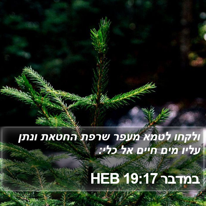 במדבר 19:17 HEB Bible Study