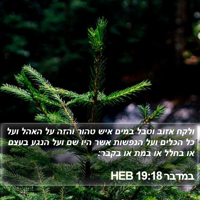 במדבר 19:18 HEB Bible Study