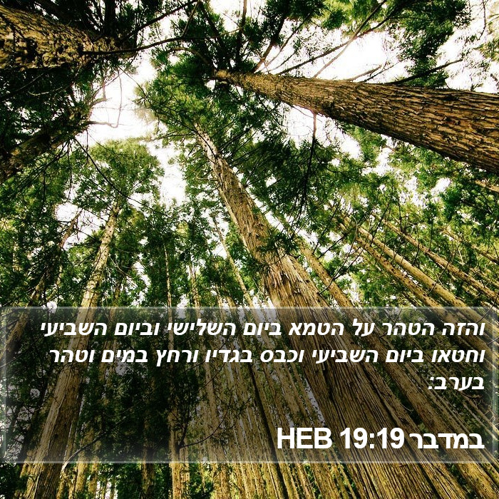 במדבר 19:19 HEB Bible Study