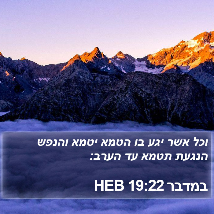 במדבר 19:22 HEB Bible Study