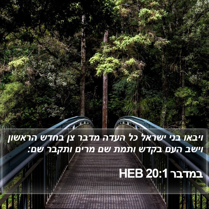 במדבר 20:1 HEB Bible Study