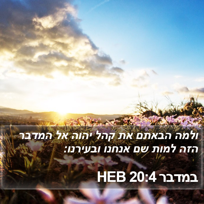 במדבר 20:4 HEB Bible Study