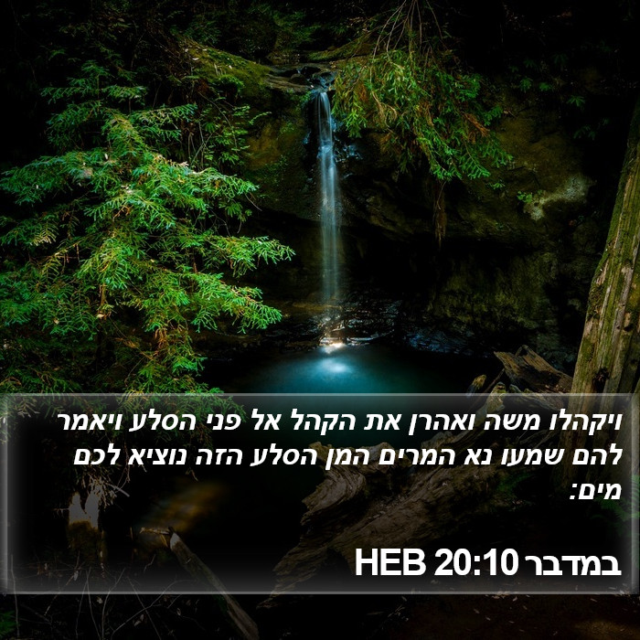 במדבר 20:10 HEB Bible Study