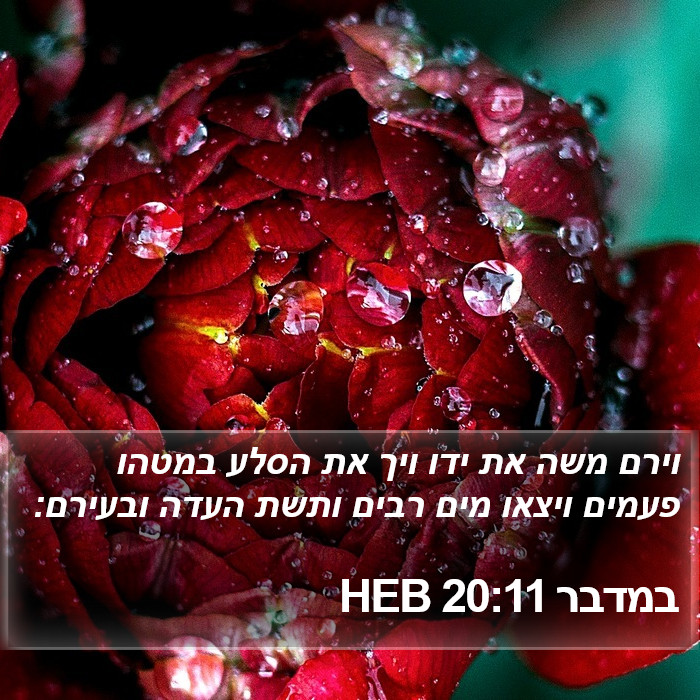 במדבר 20:11 HEB Bible Study