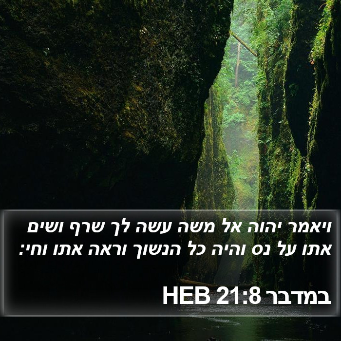 במדבר 21:8 HEB Bible Study