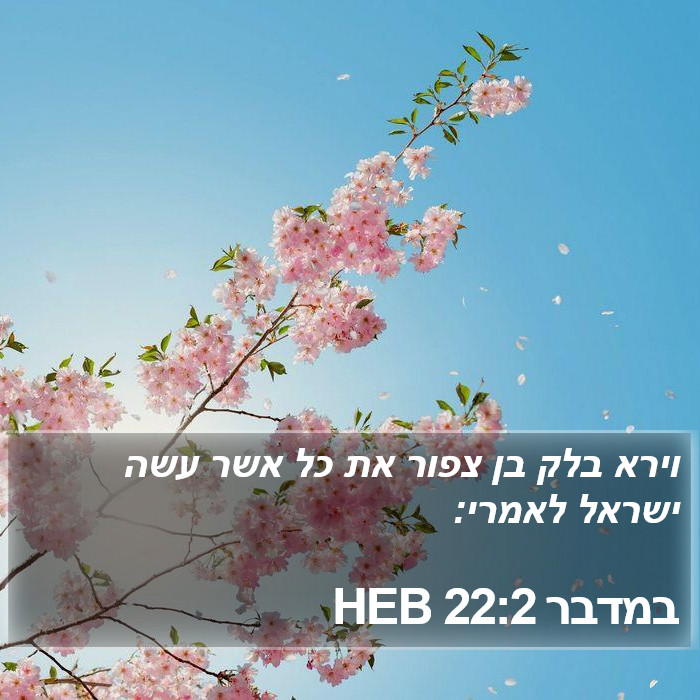 במדבר 22:2 HEB Bible Study