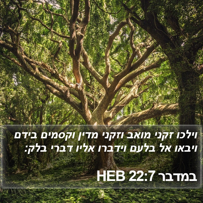 במדבר 22:7 HEB Bible Study