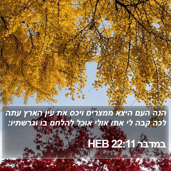 במדבר 22:11 HEB Bible Study